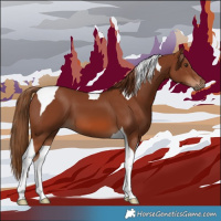 Horse Color:Chestnut Tobiano 