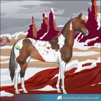 Horse Color:Bay Tobiano 