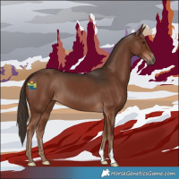 Horse Color:Liver Chestnut 