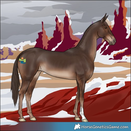 Horse Color:Liver Chestnut 
