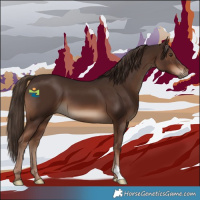 Horse Color:Liver Chestnut 