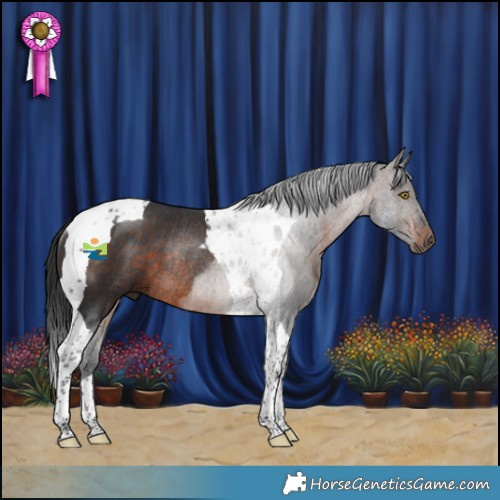 Horse Color:Bay Tobiano Rabicano 