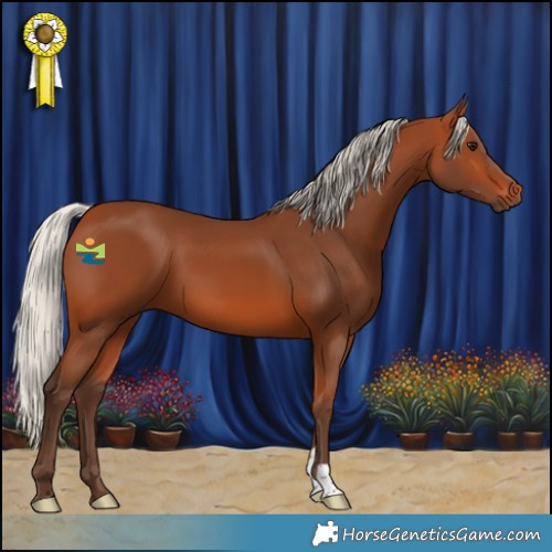 Horse Color:Silver Bay 
