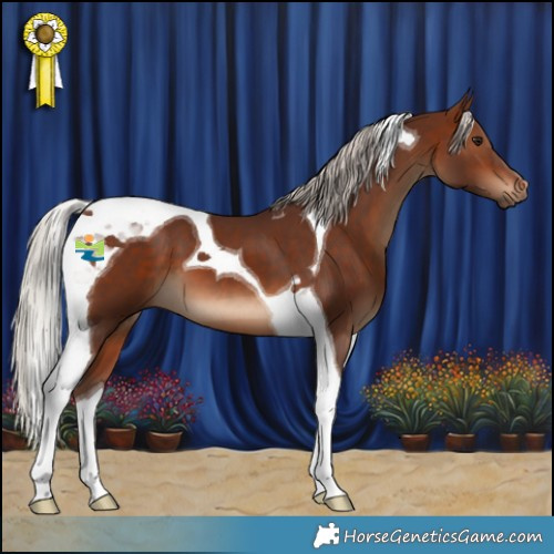 Horse Color:Silver Brown Tobiano 