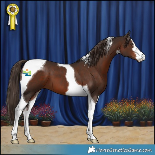 Horse Color:White Spotted Liver Chestnut Tobiano 