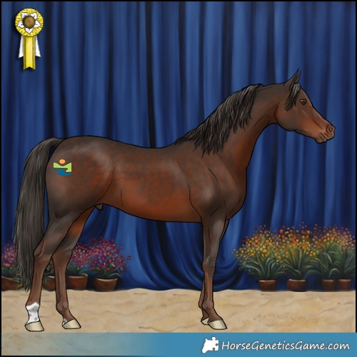 Horse Color:Liver Chestnut 
