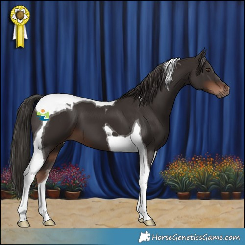 Horse Color:Liver Chestnut Tobiano 