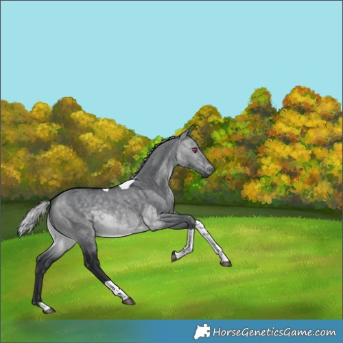 Horse Color:Silver Brown Chinchilla Dun Tobiano