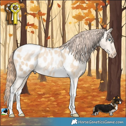 Horse Color:Smoky Grullo Snowdrop Tobiano Appaloosa 