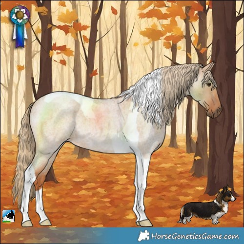 Horse Color:Red Dun Roan Tobiano 