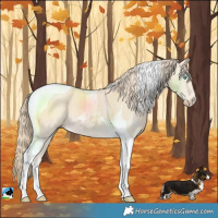 Horse Color:Perlino Tobiano 
