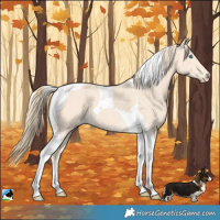 Horse Color:Perlino Tobiano