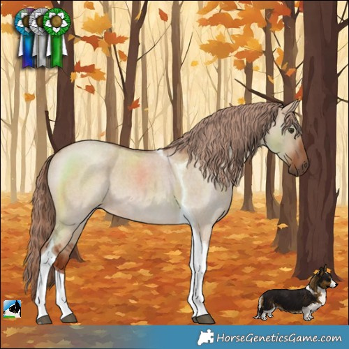 Horse Color:Red Dun Roan Tobiano 