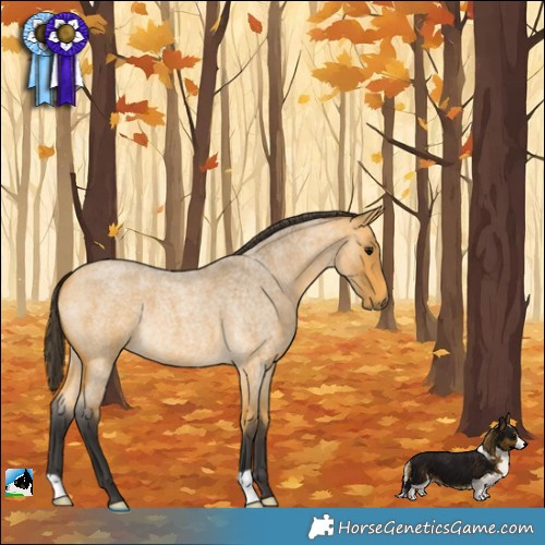 Horse Color:Buckskin Roan 