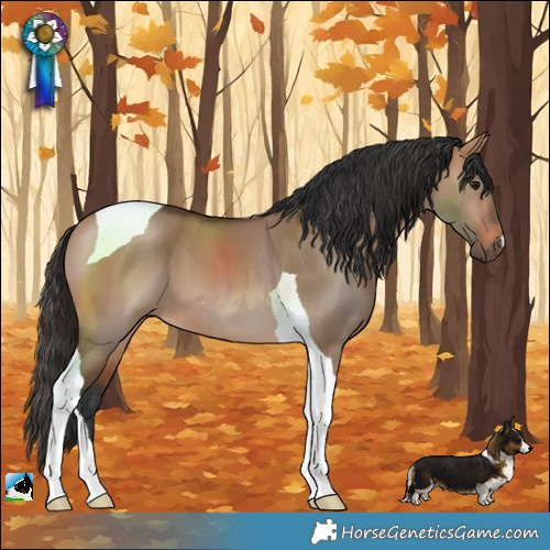 Horse Color:Bay Dun Tobiano 