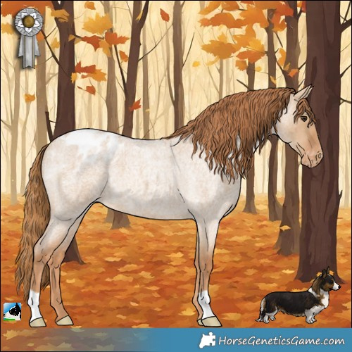 Horse Color:Red Dun Roan Blanket
