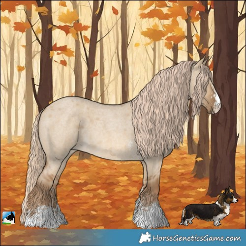 Horse Color:Chocolate Palomino Roan Dun Sabino