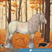 Horse Color:Chocolate Palomino Roan Dun Sabino