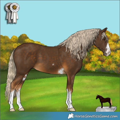 Horse Color:Chocolate Palomino 