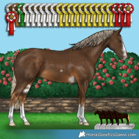 Horse Color:Chocolate Palomino 