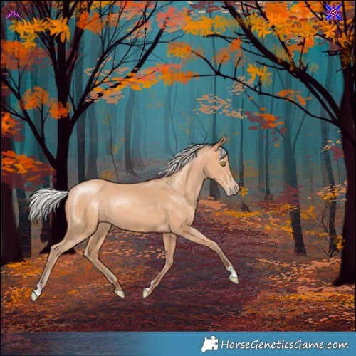 Horse Color:Silver Amber Champagne 
