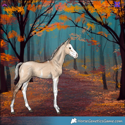Horse Color:Silver Bay Dun Sabino Splash Rabicano 