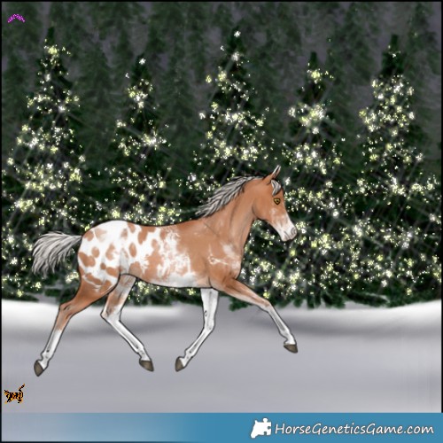 Horse Color:White Spotted Silver Brown Pearl Appaloosa Rabicano 