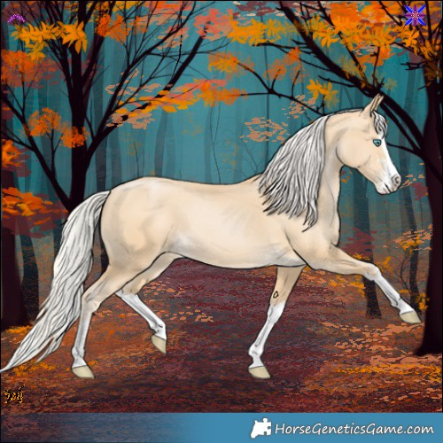 Horse Color:Silver Smoky Black Pearl Sabino Splash