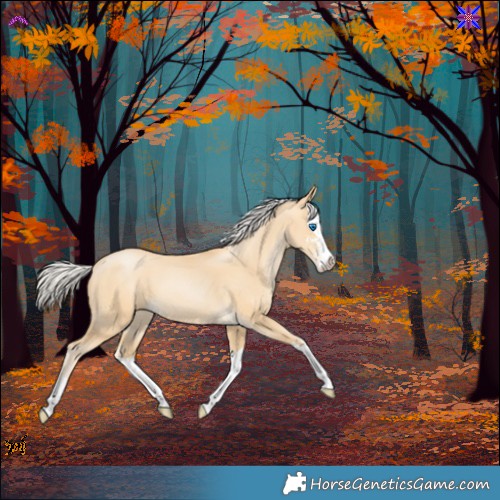 Horse Color:Silver Smoky Black Pearl Sabino Splash 