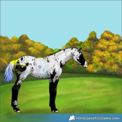 Horse Color:ERROR: UNKNOWN ANOMALY