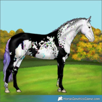 Horse Color:Nacre Watercolor White Spotted Brown Ice Dun Tobiano 