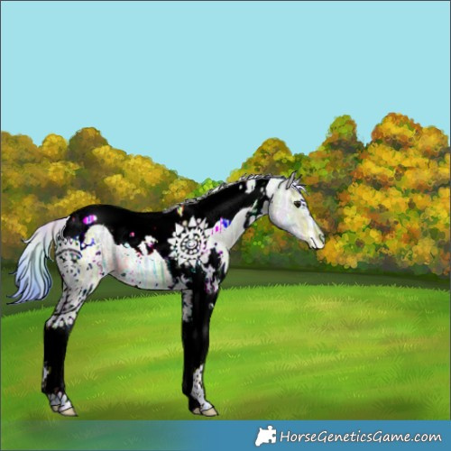 Horse Color:Nacre Watercolor White Spotted Brown Ice Dun Tobiano