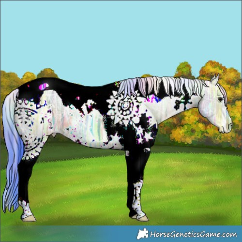 Horse Color:Nacre Watercolor White Spotted Brown Ice Dun Tobiano 