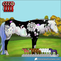 Horse Color:Nacre Watercolor White Spotted Brown Ice Dun Tobiano 