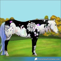Horse Color:Nacre Watercolor White Spotted Brown Ice Dun Tobiano 