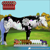Horse Color:Nacre Watercolor White Spotted Brown Ice Dun Tobiano