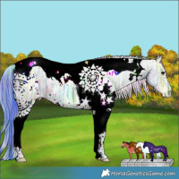 Horse Color:Nacre Watercolor White Spotted Brown Ice Dun Tobiano 