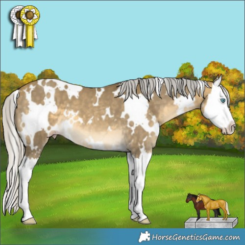 Horse Color:White Spotted Silver Sable Cream Champagne Splash