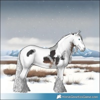 Horse Color:Brown Merle Tobiano 