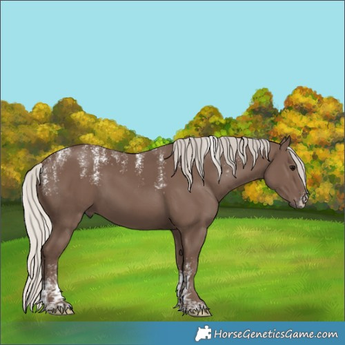 Horse Color:Powder White Silver Black 