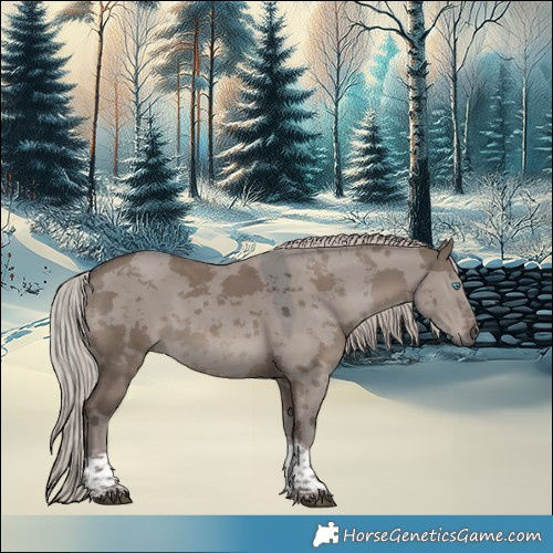 Horse Color:Silver Grullo Merle Tobiano 