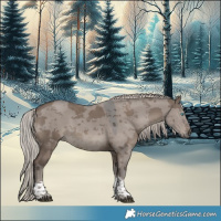 Horse Color:Silver Grullo Merle Tobiano 