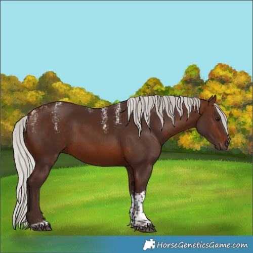 Horse Color:Powder White Silver Brown Tobiano Rabicano 