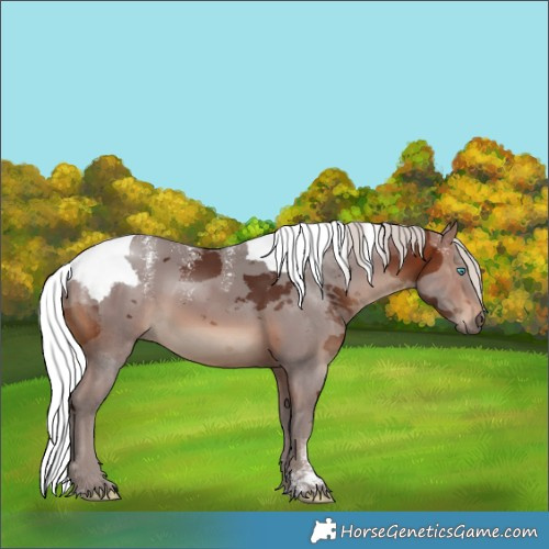Horse Color:Powder White Silver Brown Merle 