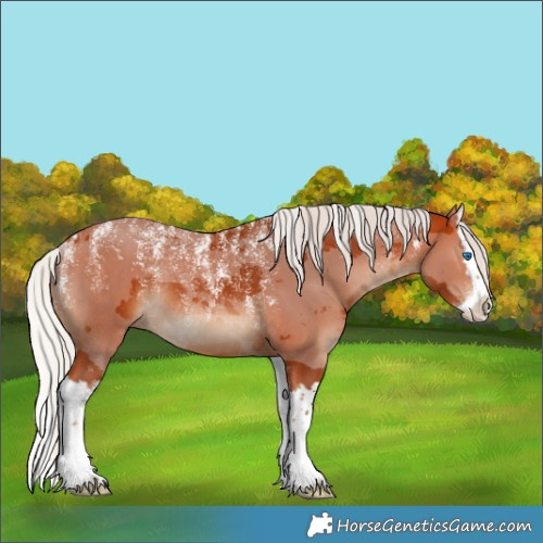 Horse Color:Powder White Silver Bay Merle Splash Rabicano 