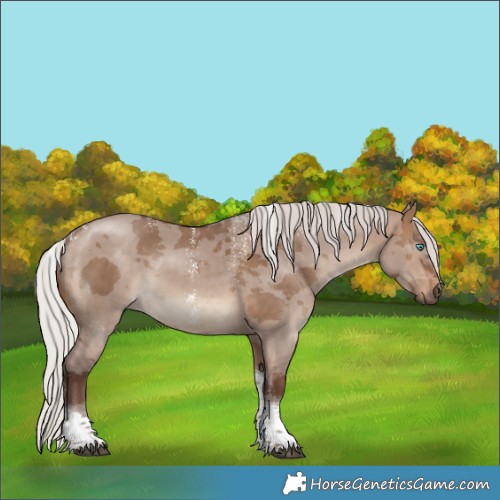 Horse Color:Powder White Silver Brown Dun Merle Tobiano Rabicano 