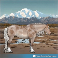 Horse Color:Powder White Silver Brown Dun Merle Tobiano Rabicano