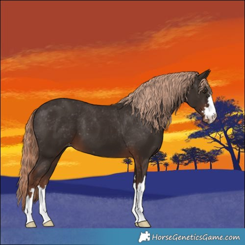 Horse Color:Liver Chestnut Varnish 