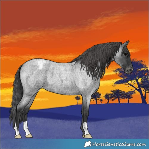 Horse Color:Blue Roan Varnish 