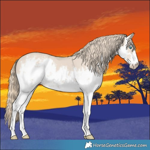 Horse Color:White Spotted Smoky Creme 